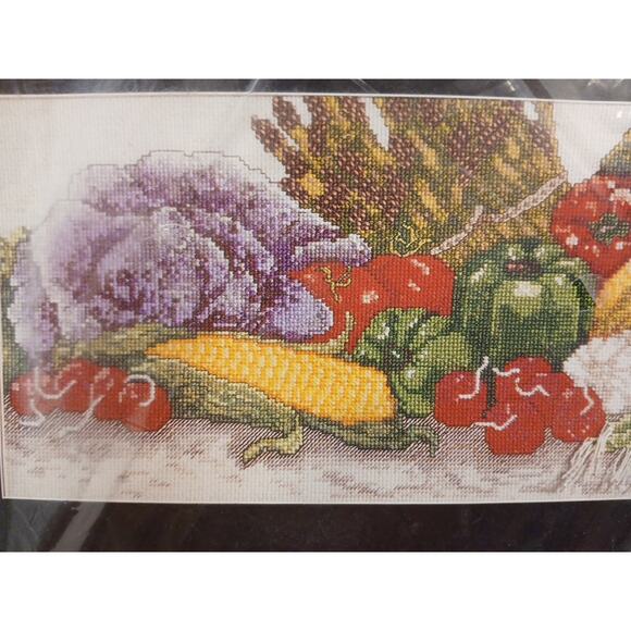 1995 Kit Counted Cross Janlynn Vegetable StitchHelen Paul 14-count Aida #145-06 - Picture 1 of 8